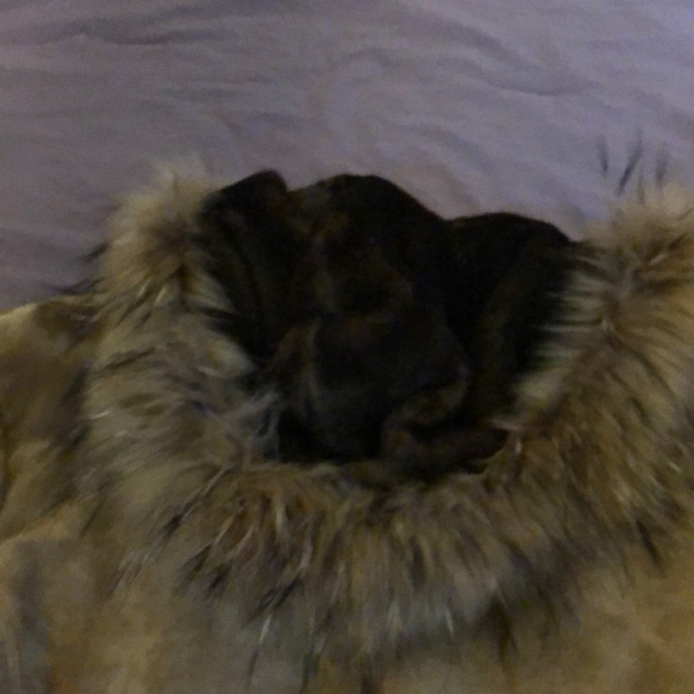 Shearling Winter Coat - image 6